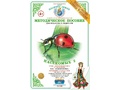 Методическое пособие "Насекомые 2" (дидактический материал)