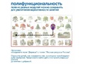 Природные богатства России с РобоМышью (с системой хранения)